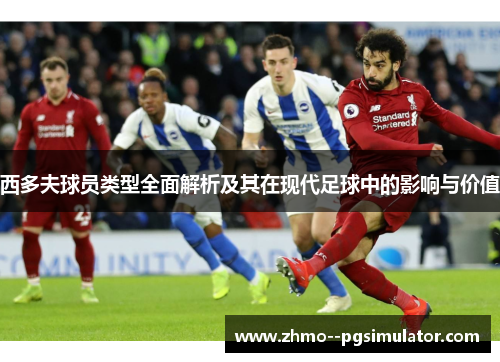 西多夫球员类型全面解析及其在现代足球中的影响与价值