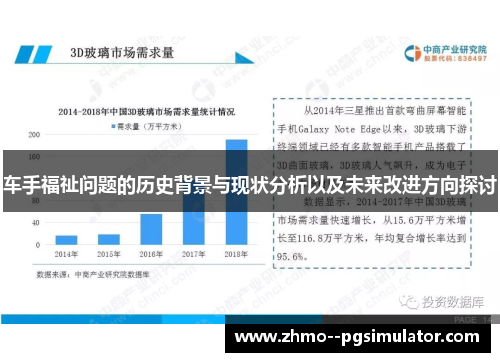 车手福祉问题的历史背景与现状分析以及未来改进方向探讨