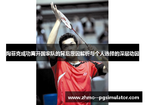 陶菲克成功离开国家队的背后原因解析与个人选择的深层动因